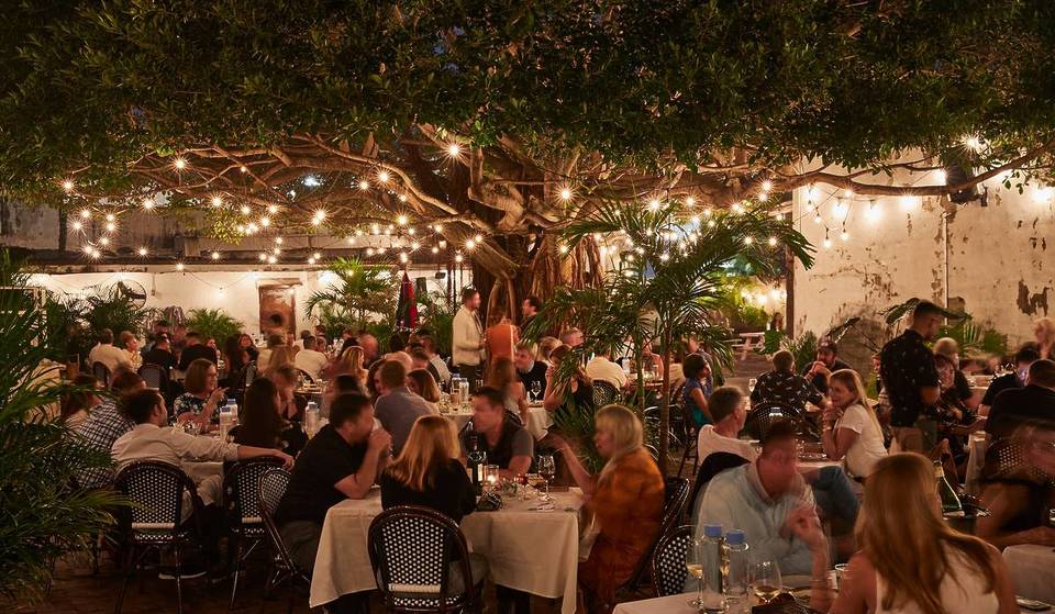 The Only Florida Restaurant On The New York Times’ 50 Best List Is A Miami Gem Hidden Beneath A Banyan Tree