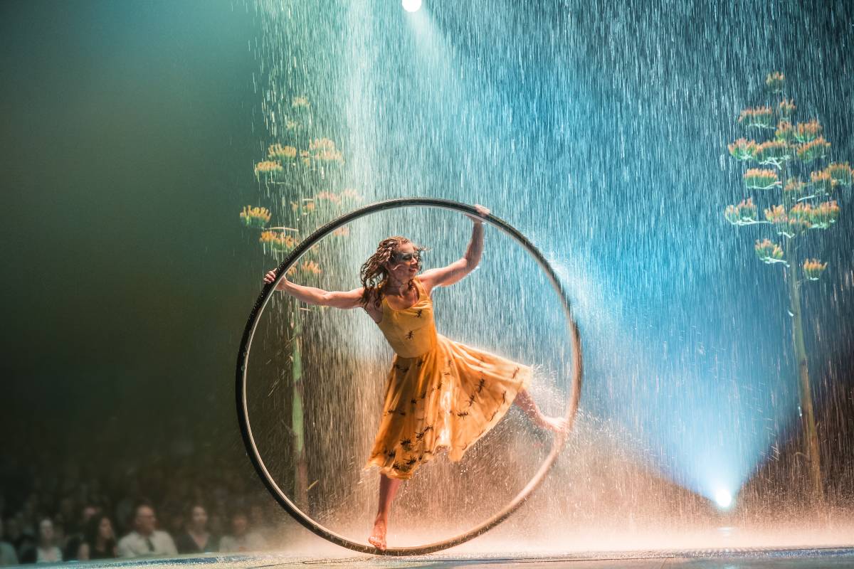 acrobatic hoop artist at LUZIA