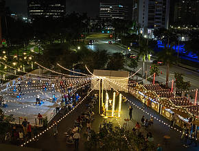 21 coisas magníficas para fazer em Miami em novembro de 2025