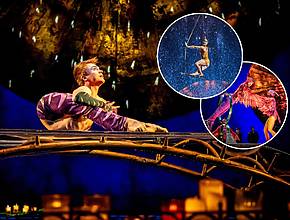 Cirque du Soleil LUZIA hat gerade unter dem Zirkuszelt eröffnet – mit herabstürzendem Regen und der Schwerkraft trotzenden Akrobaten im Gulfstream Park