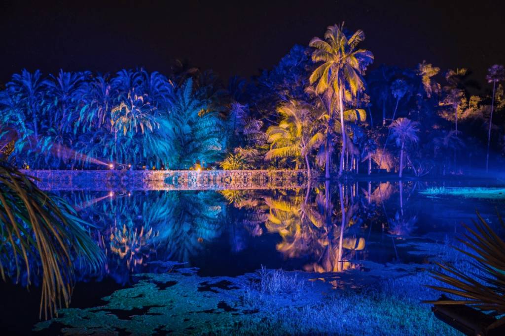Los visitantes exploran el Jardín Nocturno