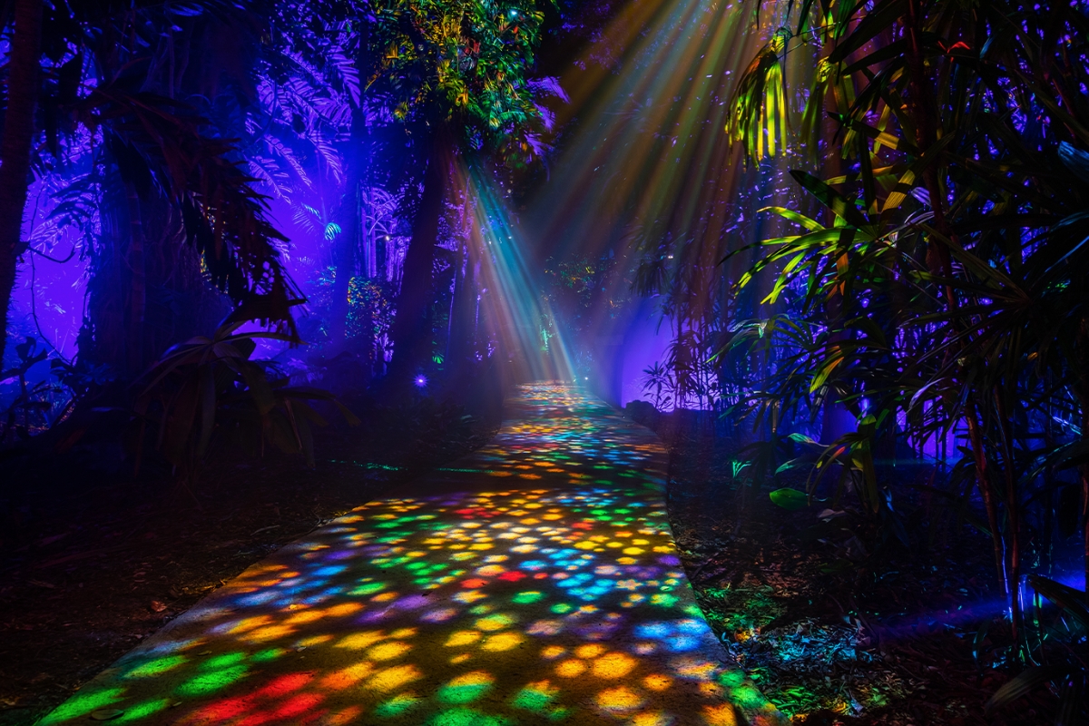 Guests explore NightGarden