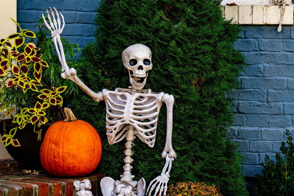 Halloween pumpkin and skeleton for decorated house