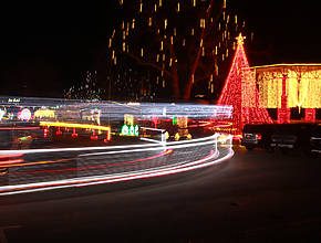 Roll Down 3 Miles Of Dazzling Light Displays &#038; Sparkling Trees At South Florida&#8217;s Beloved Holiday Drive-Thru