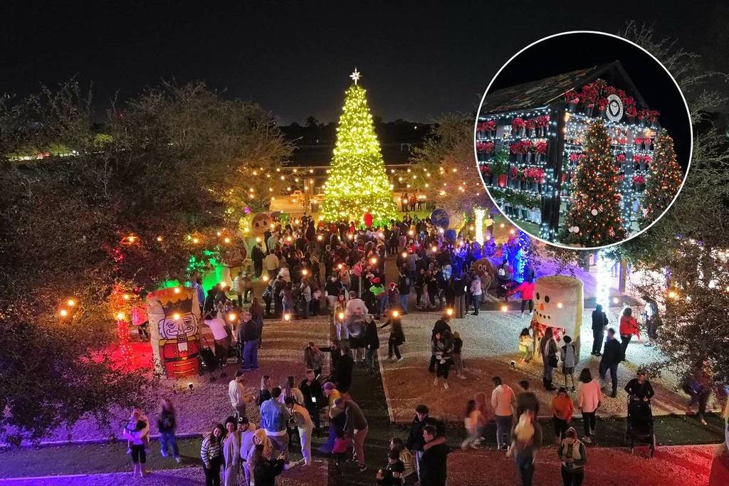 The Berry Farm Winter Festival lights and Christmas tree