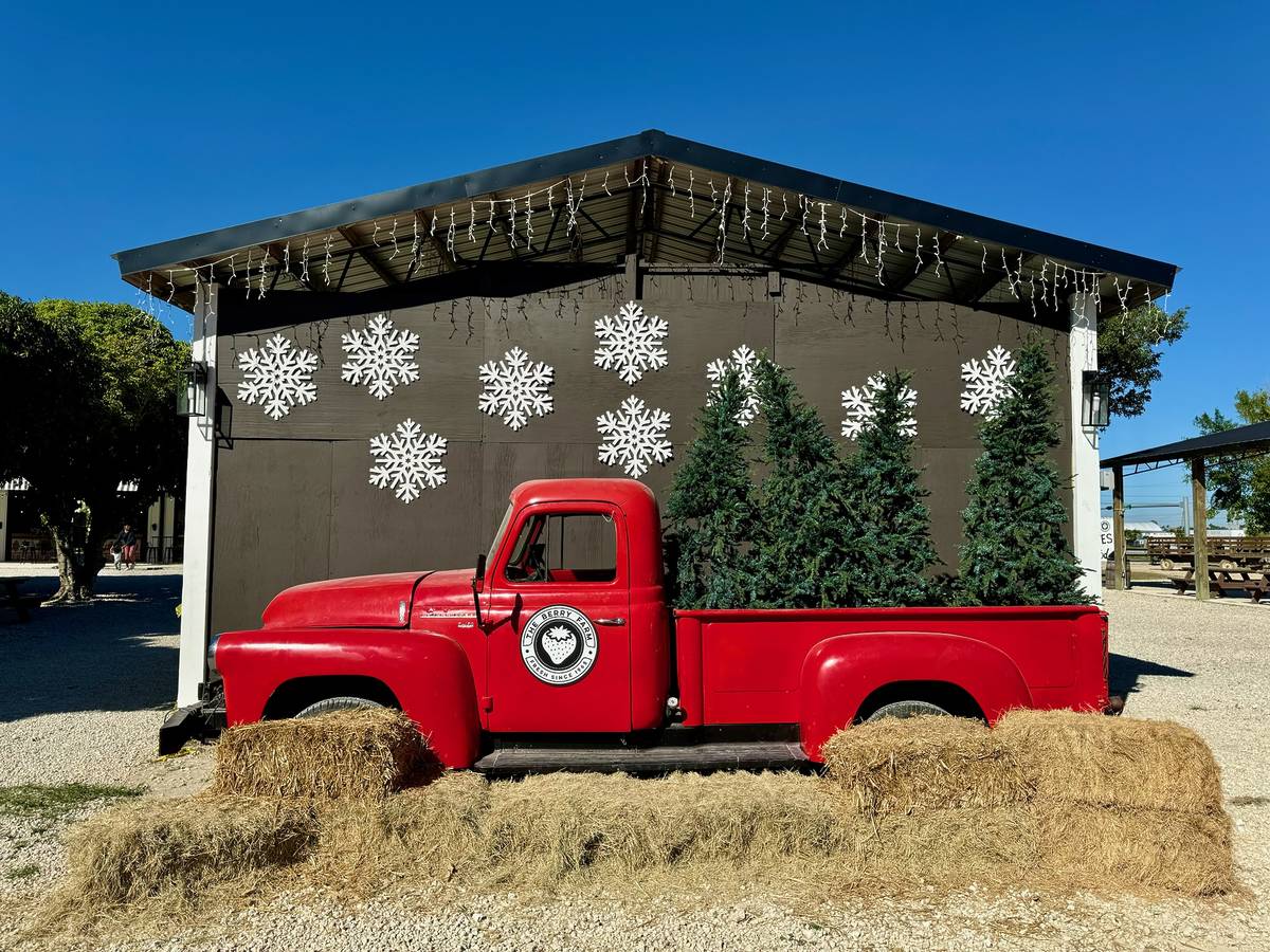 El mágico Festival de Invierno de la Granja Berry vuelve en noviembre, image size:1200x900