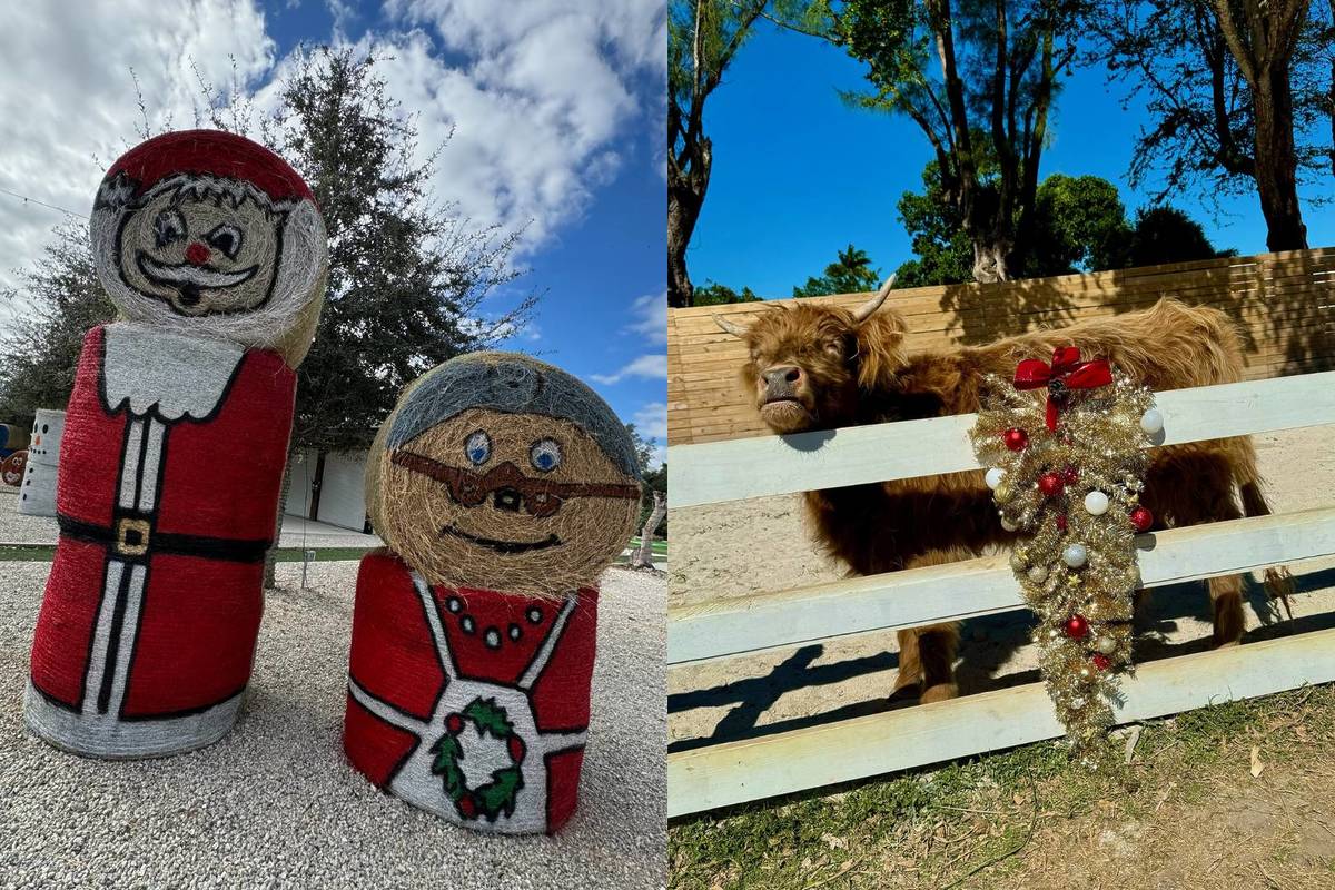 The Berry Farm holiday decor and cow