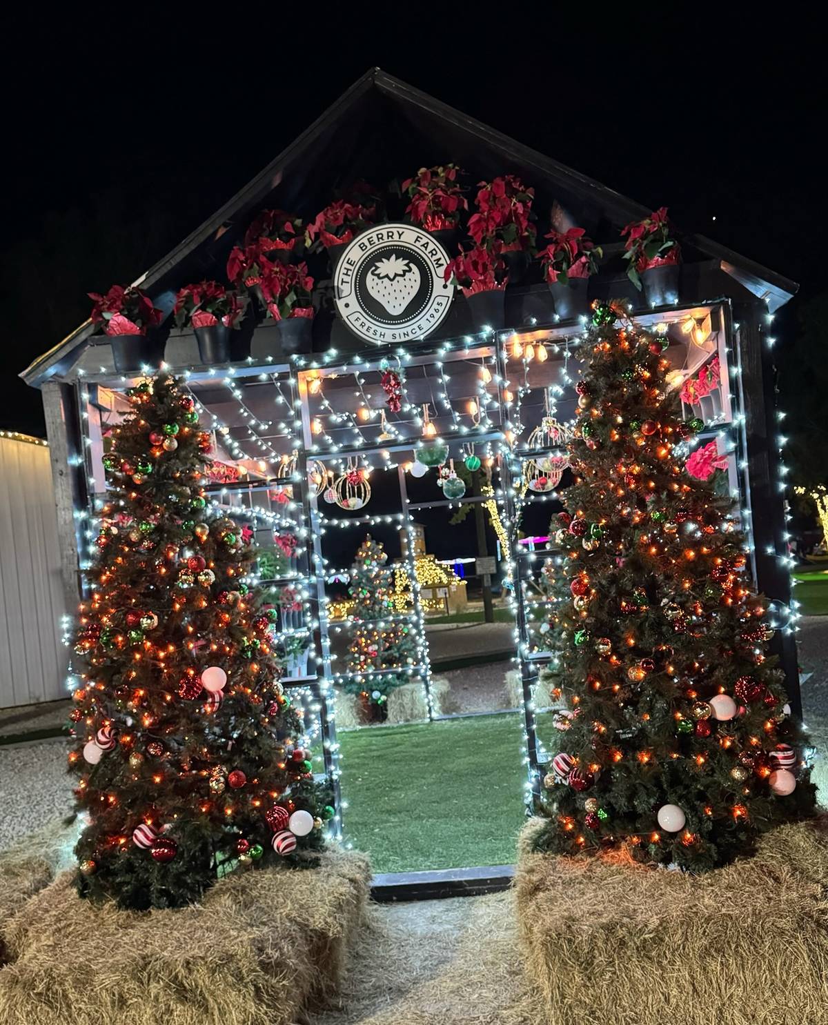 The Berry Farm lighting holiday display at night