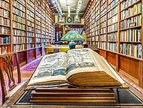 Esta charmosa livraria antiga no sul da Flórida possui mais de 50.000 livros colecionados ao longo de 40 anos &#8211; e ainda tem um adorável gato de loja