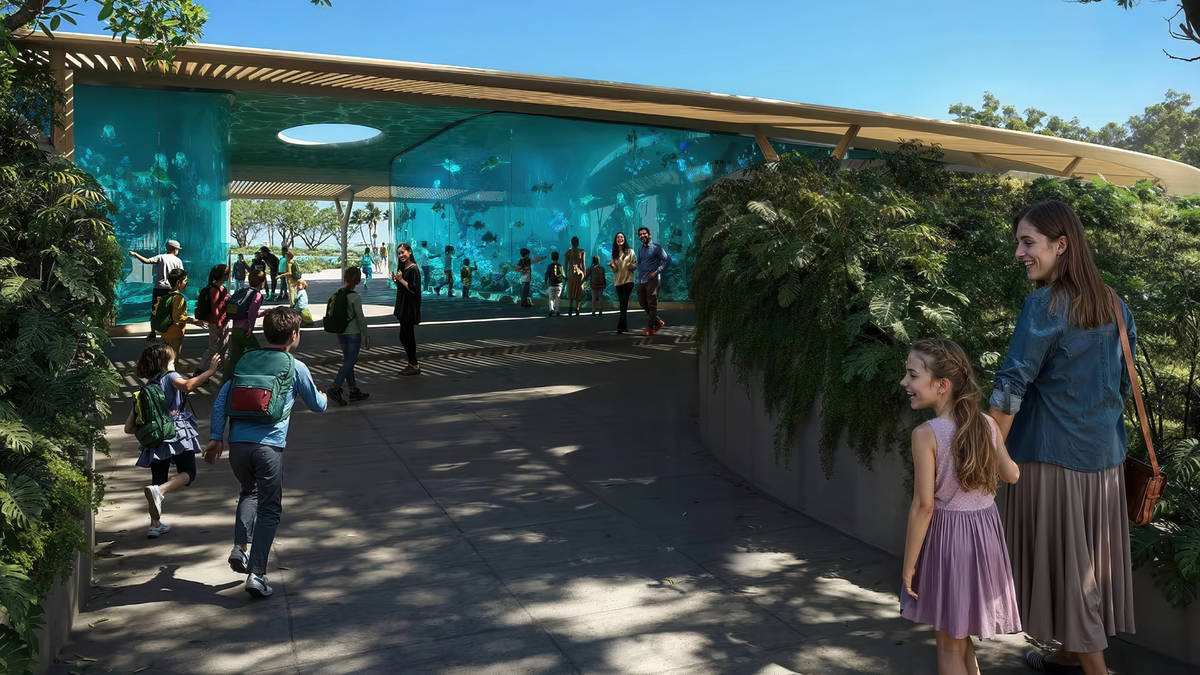 A rendering of the aquarium coming to the Miami Seaquarium property