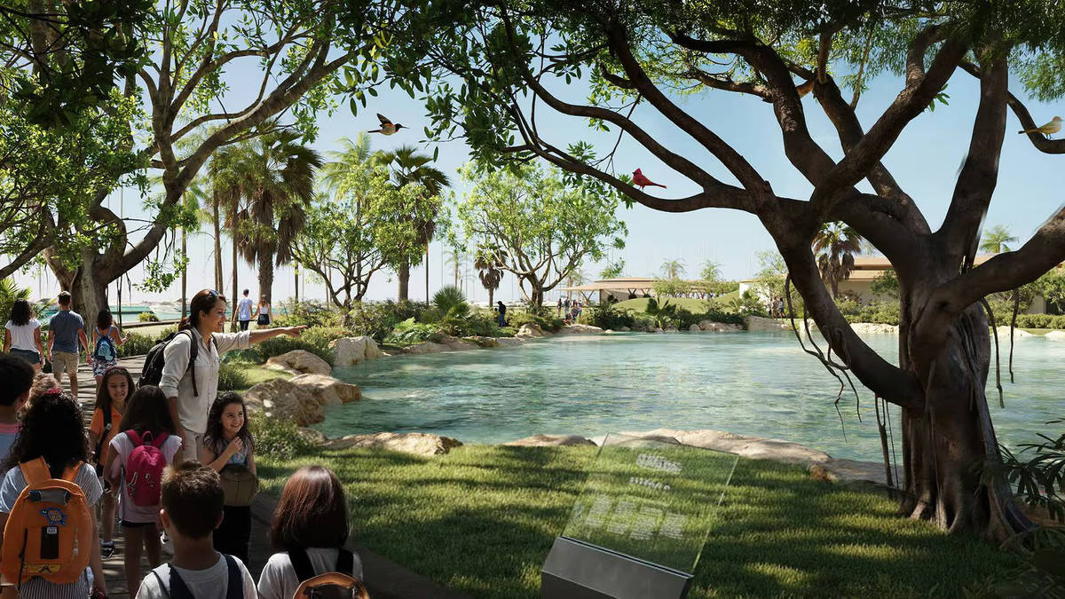 A rendering of a lagoon coming to the Miami Seaquarium property