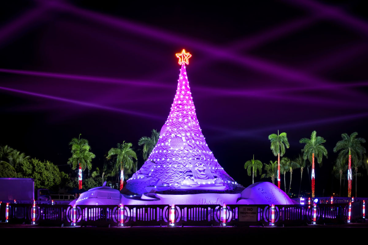 Sandpapper Tree The World’s Only 35-Foot Sand Tree Is Back In West Palm Beach
