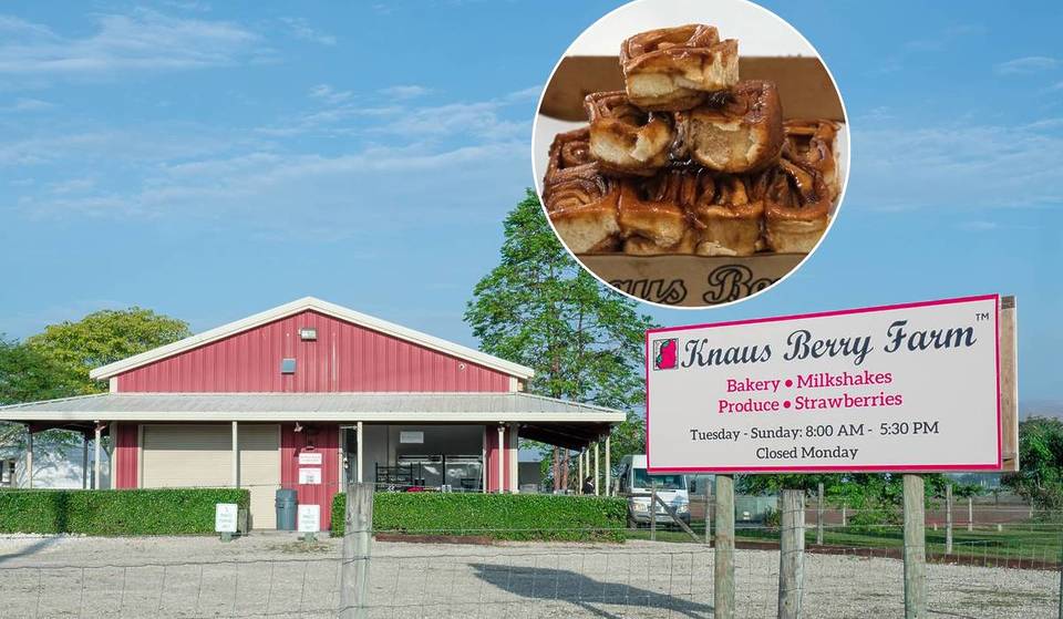 L&rsquo;attente est terminée : Knaus Berry Farm rouvre enfin ses portes pour la saison avec un nouvel emplacement, davantage de places de stationnement et le retour de ces rouleaux emblématiques.