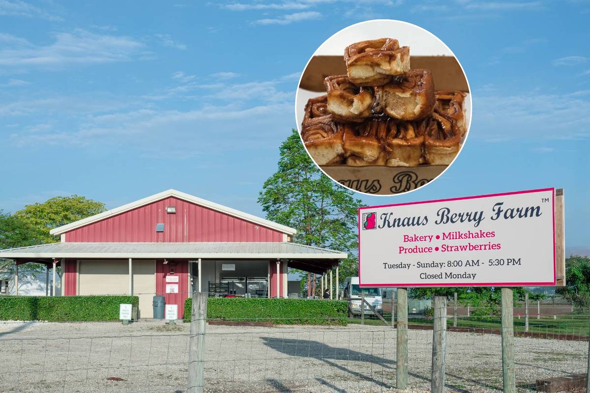 The Wait Is Over: Knaus Berry Farm Is Finally Reopening For The Season With A New Location, More Parking And The Return Of Those Iconic Rolls