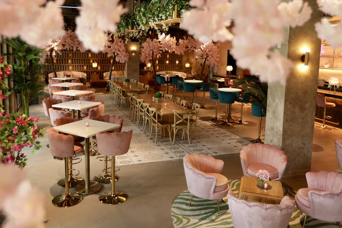 Throw Social interior