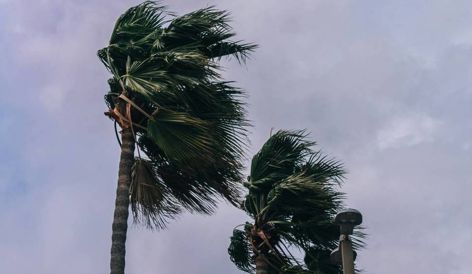 Miami Could Reach Near-Record Heat Today—Followed By A Brutal Cold Front With Plummeting Temps