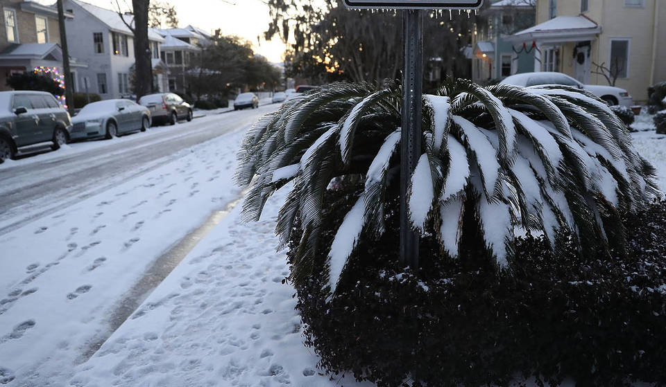 Could It Snow In The Sunshine State This Weekend? Parts Of Central Florida Have A Rare Chance To See Flurries For The First Time In 16 Years