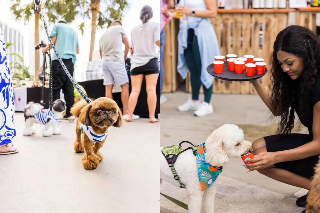 Paws Patio Food Fest