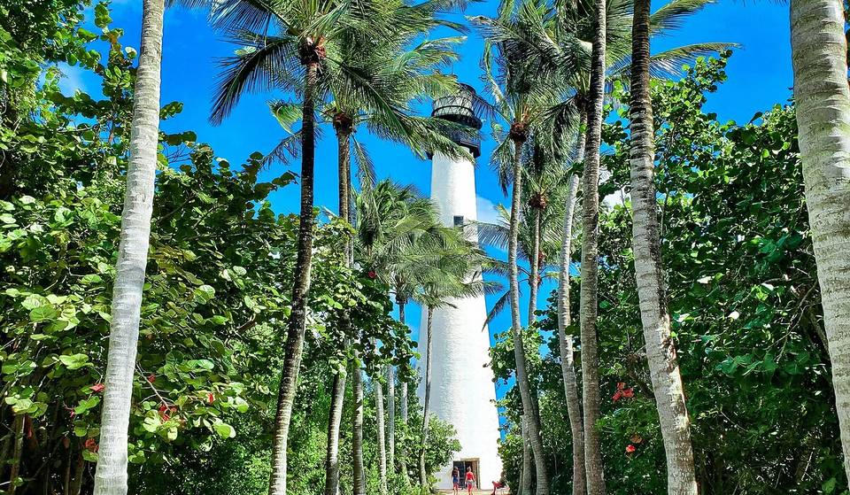 3 de las mejores microexperiencias para probar en Miami este 2026 y disfrutar de la ciudad como un auténtico local