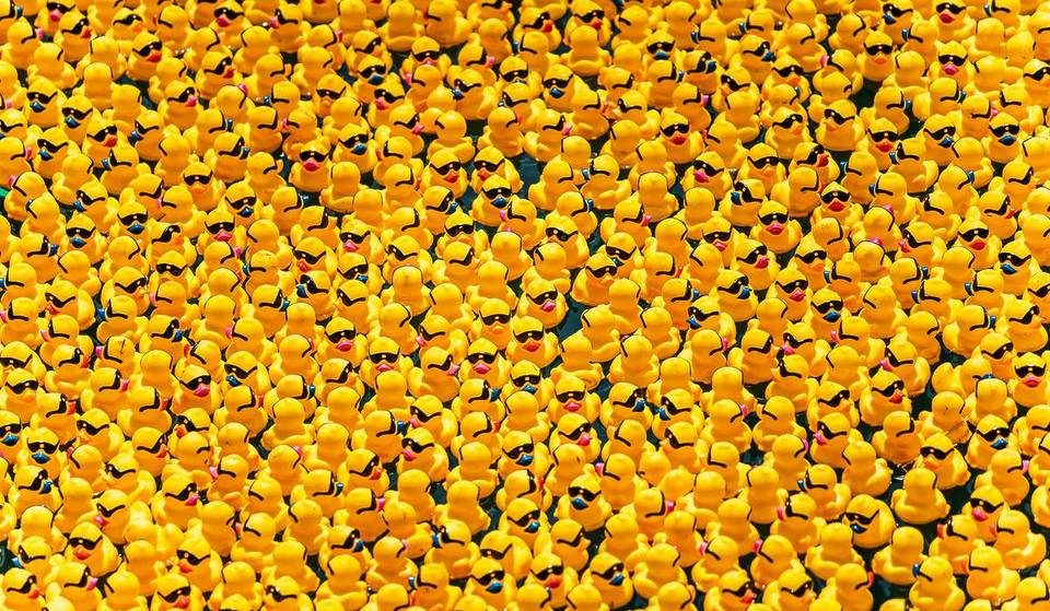 45,000 Rubber Ducks Are Making A Splash In Fort Lauderdale This Weekend For A Charitable River Race — Here’s How To Join