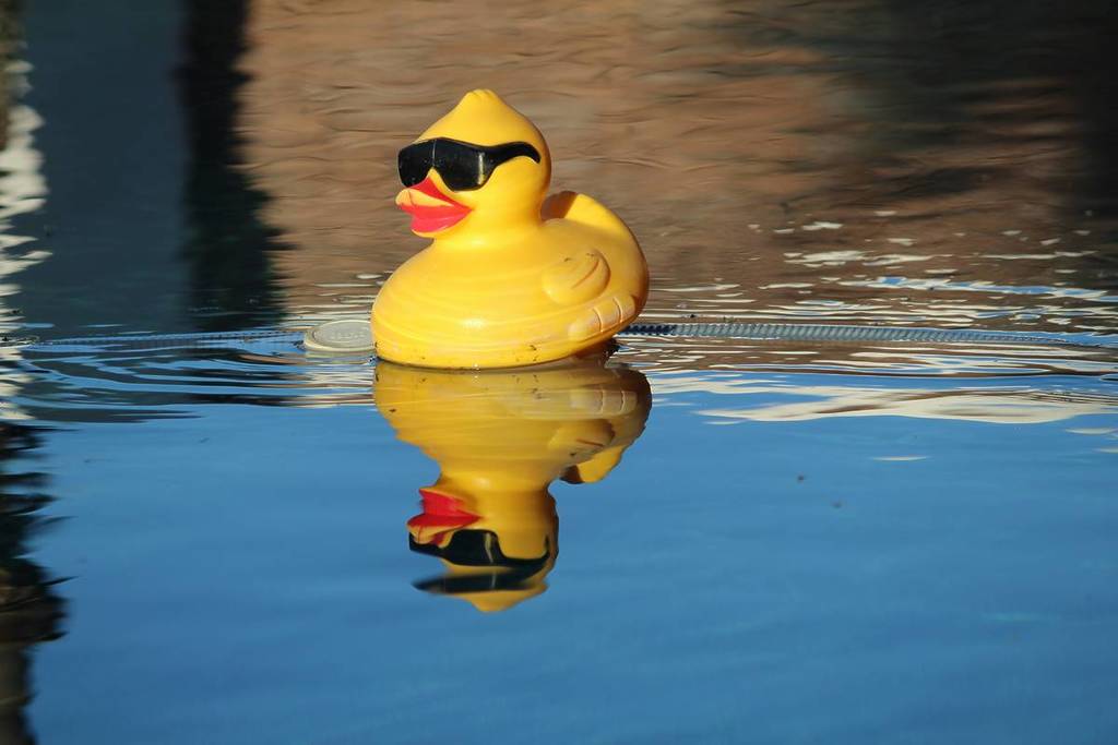 un patito de goma amarillo flotando en el agua