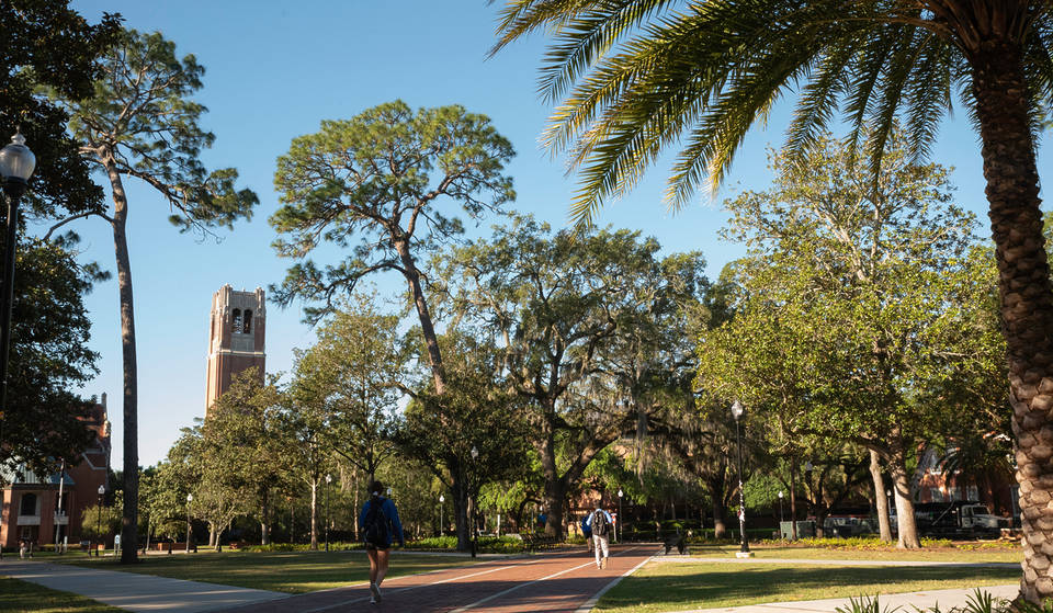 Move Over Harvard: This Florida University Was Just Named One Of The Nation’s ‘New Ivies’ By Forbes