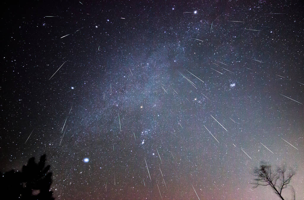 Les météores des Géminides descendent en pluie sur cette image composite prise pendant plusieurs heures au cours d'une nuit de décembre dans une région isolée de Virginie. Constellations : Gémeaux, Cocher, Taureau, Orion, Grand Chien et Petit Chien.