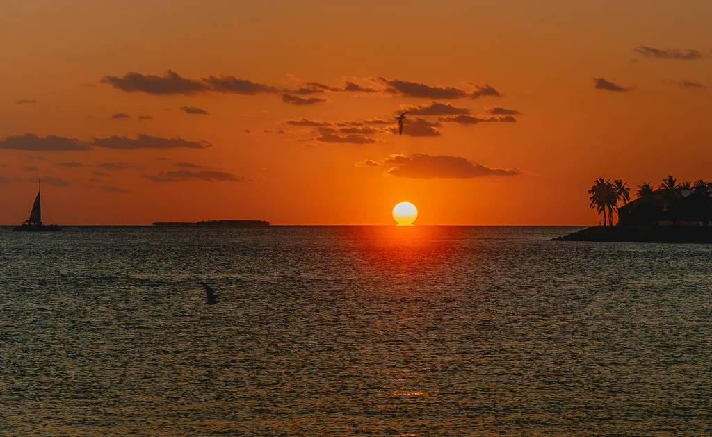 Sonnenuntergang über dem Meer mit einem Segelboot und Palmen