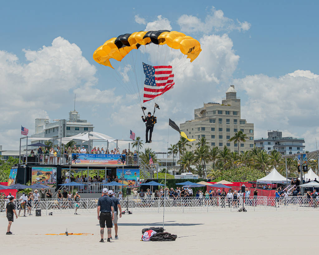 Hyundai Air & Sea Show