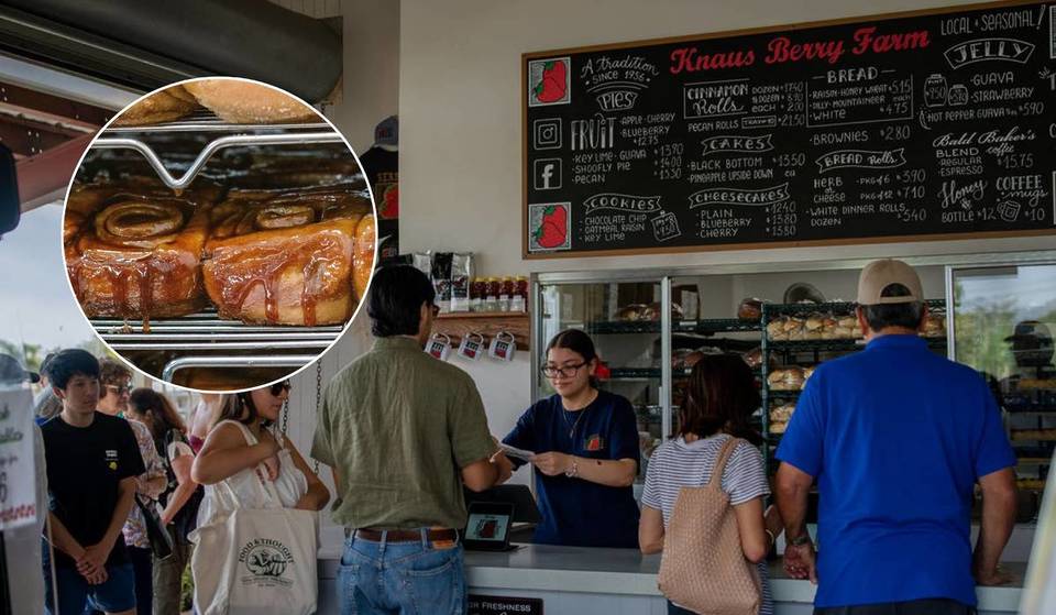 You Only Have 2 Weeks Left To Get Miami’s Most Famous Cinnamon Rolls Before This Redland Farm Closes For The Season