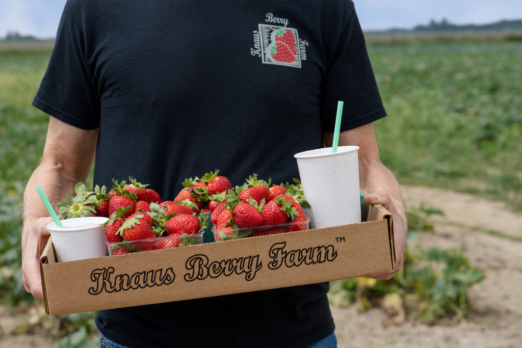 Knaus Berry Farm