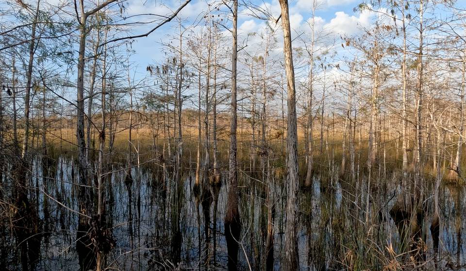 This 1,500-Mile-Long Trail In Florida Has Been Named A ‘Hike Of A Lifetime’ By National Geographic