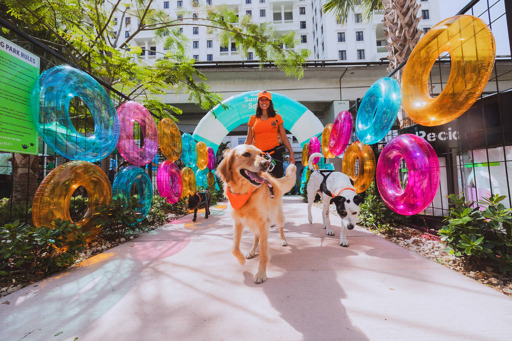 Paseando a los perros