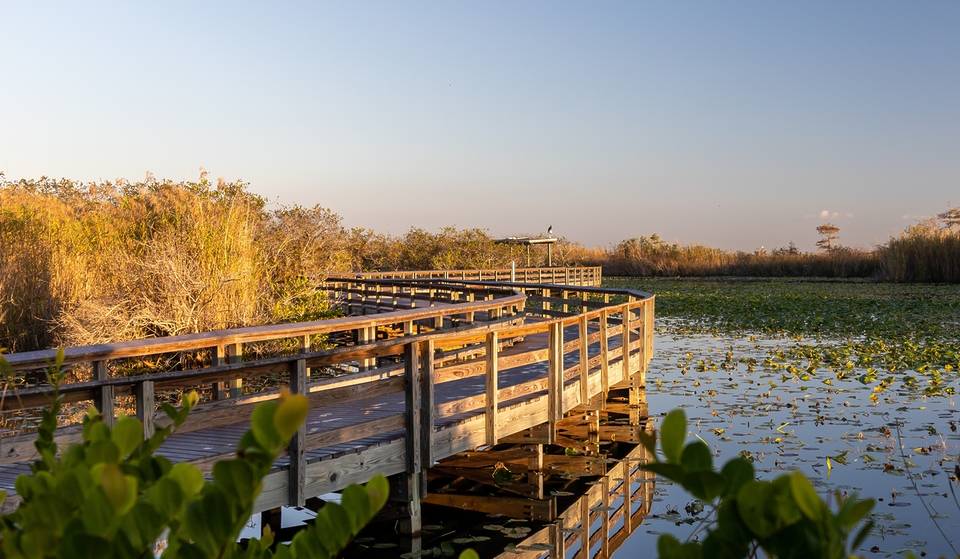 Dieser 0,8 Meilen lange Everglades-Wanderweg wird als zweitbeste Frühlingswanderung in den USA bezeichnet – und schlägt damit Wege in Colorado und Utah