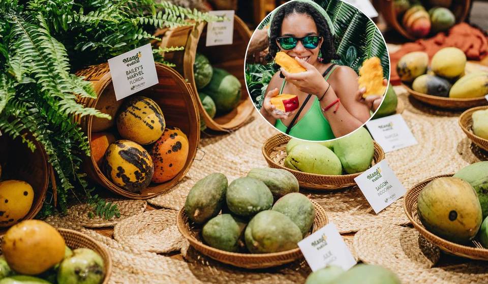 Der Botanische Garten von Coral Gables verwandelt sich diesen Juni in ein lebhaftes Mango-Paradies – mit einem typischen Mango-Brunch, Mini-Spa-Gesichtsbehandlungen und seltenen Obstbäumen