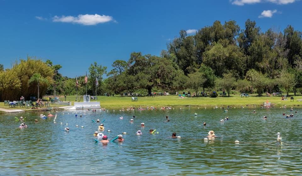 A 3 horas e meia de carro de Miami: a única fonte termal natural da Flórida é conhecida como o “Lago Milagroso” e mantém a temperatura de 29 °C o ano todo