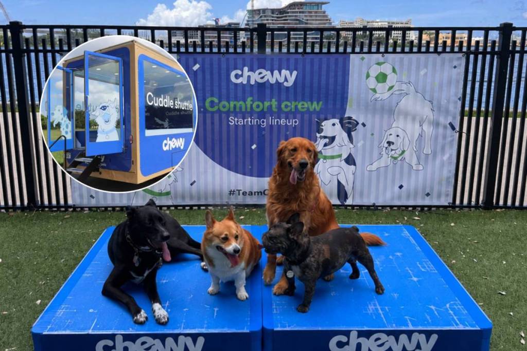 Chewy Bark Park Bayfront Comfort Crew : moment photo, Cuddle Shuttle