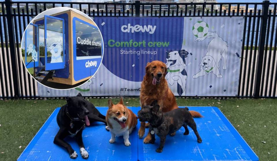 La Coupe du monde te stresse ? Miami accueille sa toute première « Cuddle Shuttle » remplie d’adorables chiots