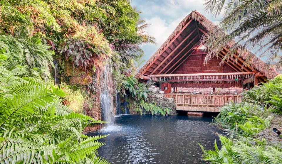 This hidden Homestead oasis is the southernmost winery in the U.S. — with tropical fruit wines, lush botanical gardens and cascading waterfalls