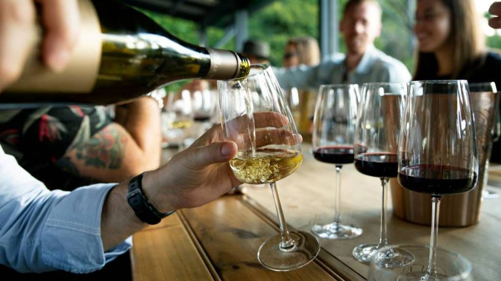 5 des meilleurs domaines viticoles près de Miami pour te mettre dans l&rsquo;ambiance du raisin