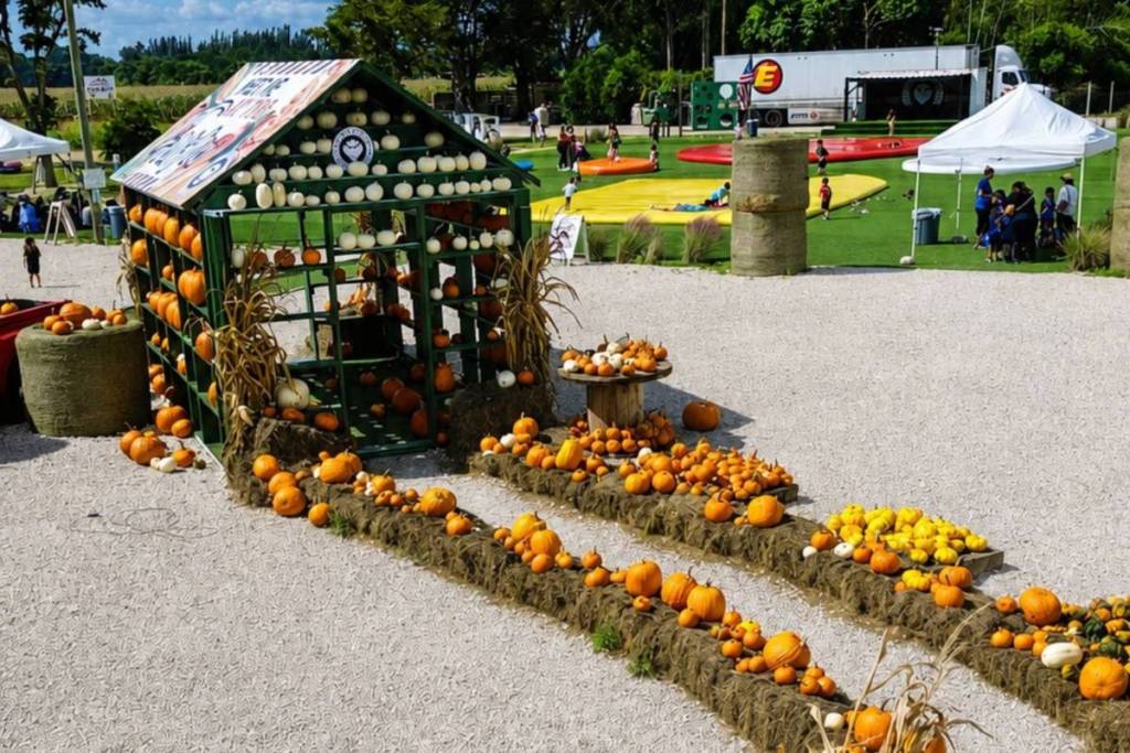 The Berry Farm Harvest Festival
