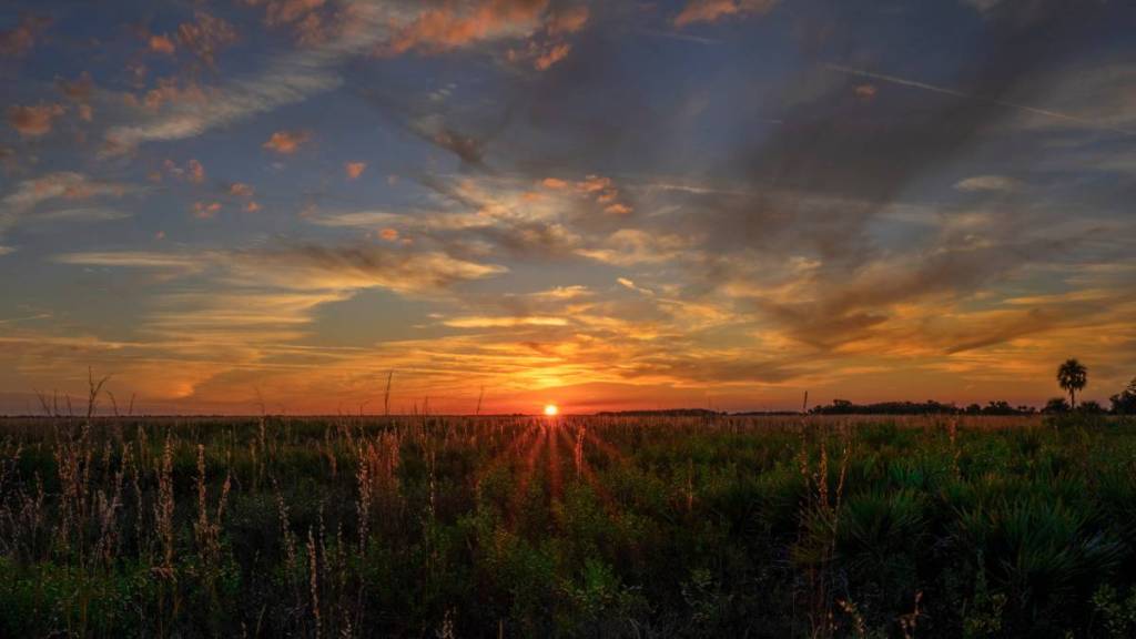 Um pôr do sol deslumbrante ilumina o céu espetacular na Kissimmee Prairie Preserve, em Okeechobee, Flórida. O sol no horizonte brilha sobre uma paisagem vasta e quase sem árvores, iluminando a grama por trás.
