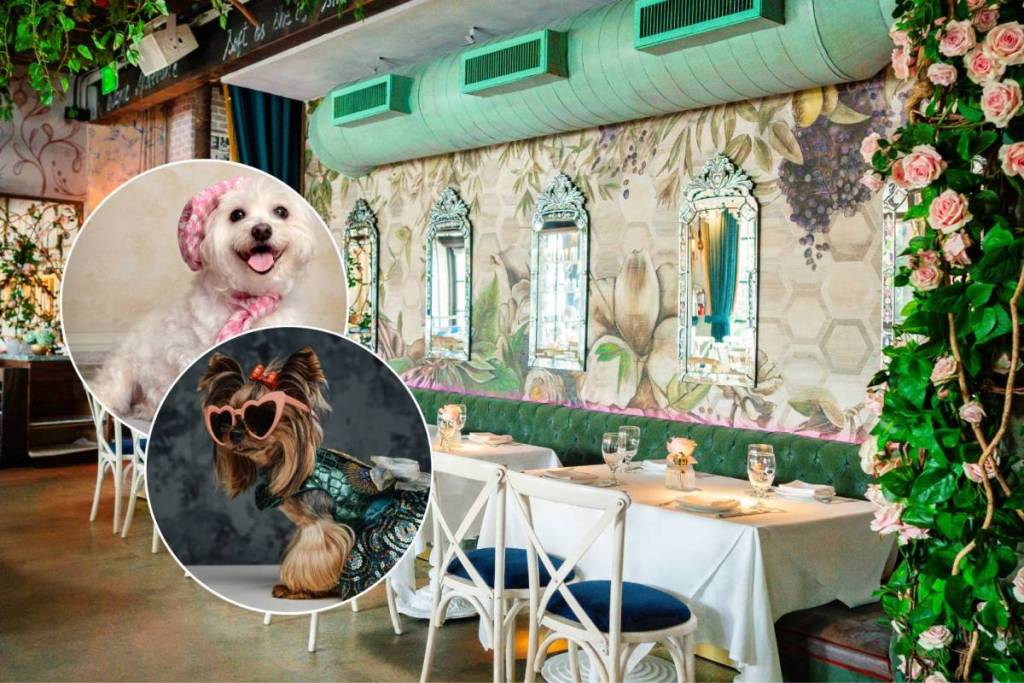Brunch canin et défilé de mode « Kiki on the River »