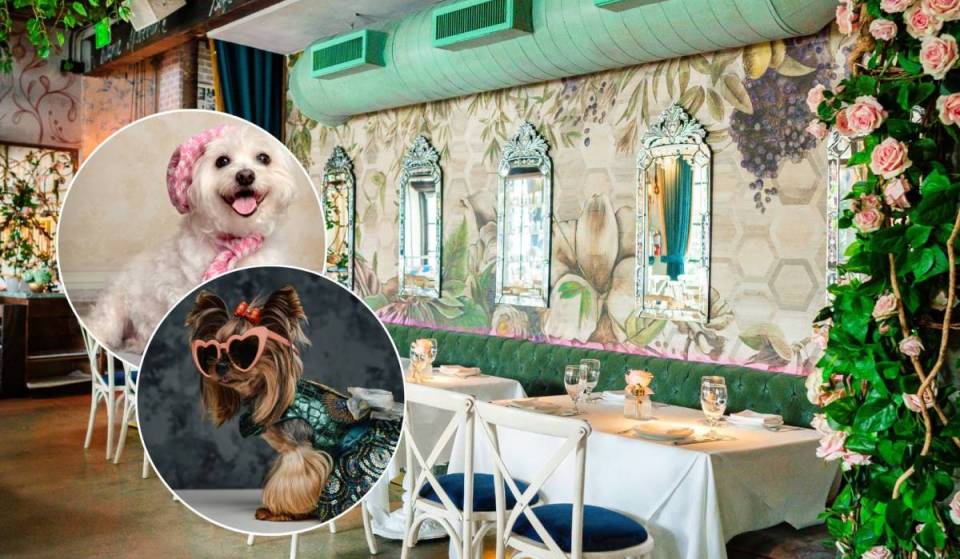 This Miami riverfront restaurant is hosting a glam doggy brunch and fashion show — with ‘Barkaritas’ and a yacht charter grand prize