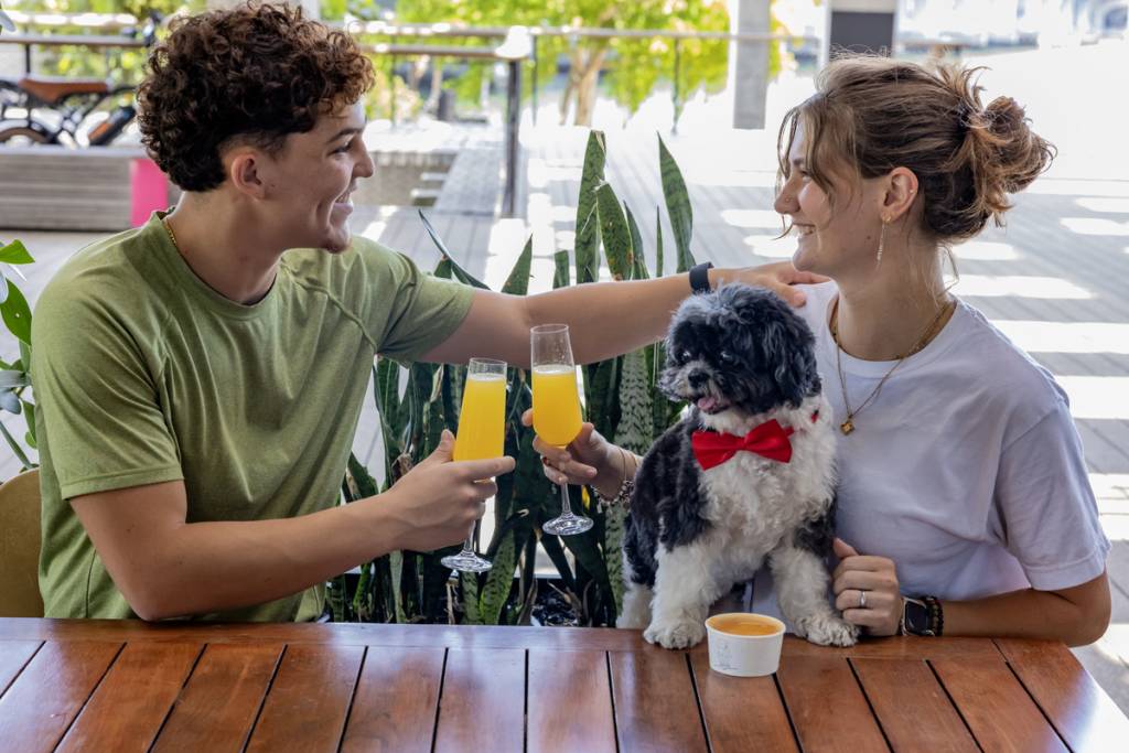Verde: restaurante donde se admiten perros