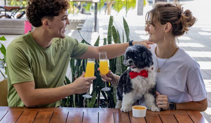 Les 10 meilleurs restaurants de Miami qui acceptent les chiens pour ton prochain rendez-vous en terrasse avec ton compagnon à quatre pattes