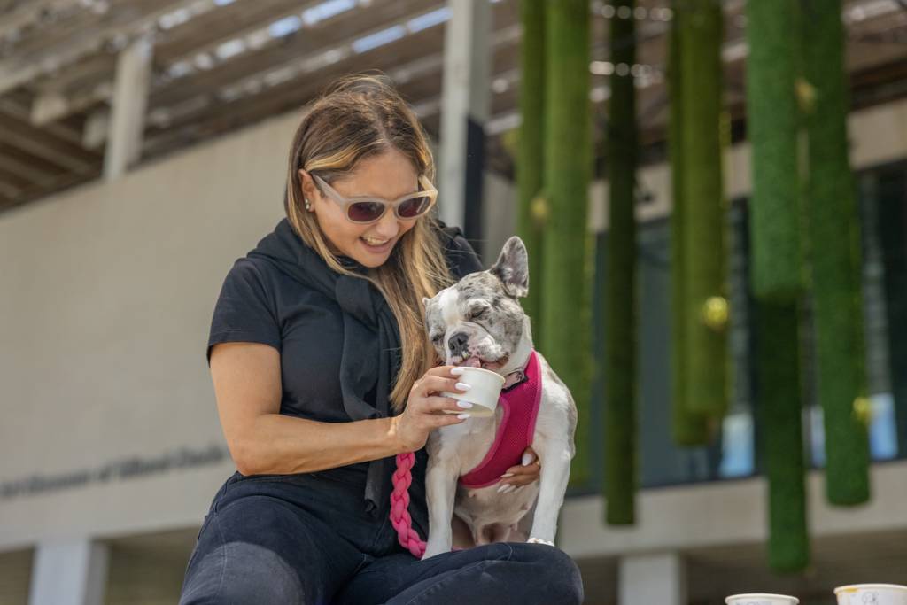 Verde: restaurante donde se admiten perros