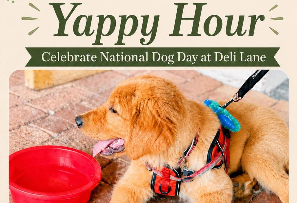 Yappy Hour im Deli Lane