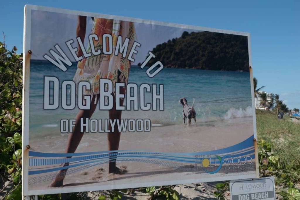 Werbung für den Hundestrand in Hollywood