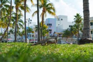Miami just shattered a 117-year-old temperature record after hitting 96 degrees